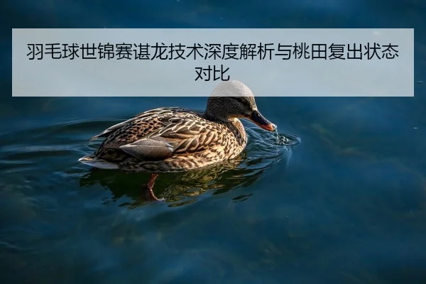 羽毛球世锦赛谌龙技术深度解析与桃田复出状态对比